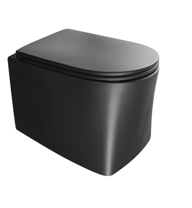Set WC suspendat AXA DP+ capac soft-close negru