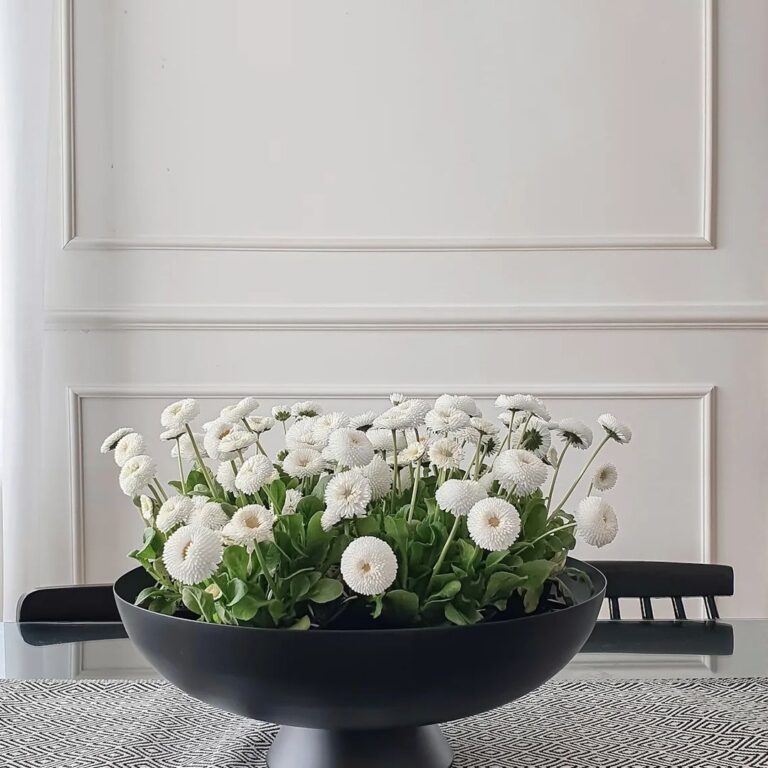 Profilele decorative – un plus de frumusețe și eleganță